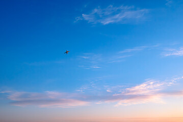 夕焼け空を飛ぶ飛行機
