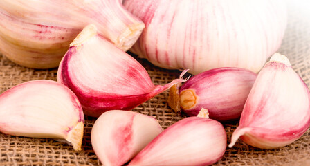 Garlic Cloves and Garlic Bulb on vintage burlap, concept healthy lifestyle
