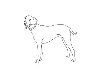 Dog Single Line Drawing Ai, EPS, SVG, PNG, JPG zip file