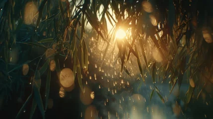  Fast growing, sustainable bamboo in a peaceful zen garden landscape.  © Elle Arden 