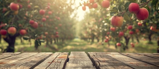 Retro-toned image of wood table in apple orchard with selective focus for product placement. - obrazy, fototapety, plakaty