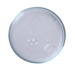 Petri dish with liquid sample isolated on white, top view