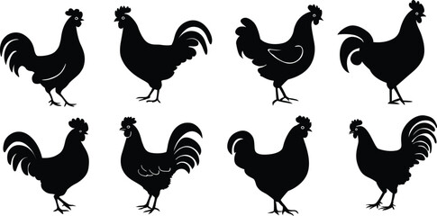 Chicken silhouettes set. Set of rooster and hen silhouettes. Vector illustration - obrazy, fototapety, plakaty
