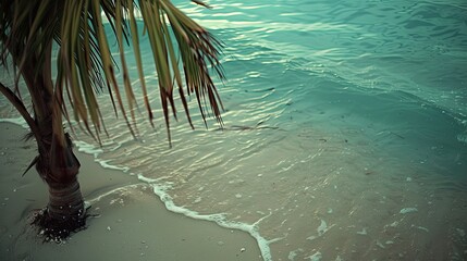 Beach shore ocean sea tropic summer landscape concept. Banner background design