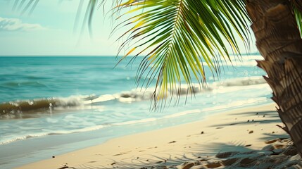 Beach shore ocean sea tropic summer landscape concept. Banner background design