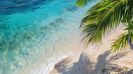 Beach shore ocean sea tropic summer landscape concept. Banner background design