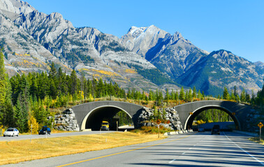 Trans-Canada Highway in Banff National Park - obrazy, fototapety, plakaty