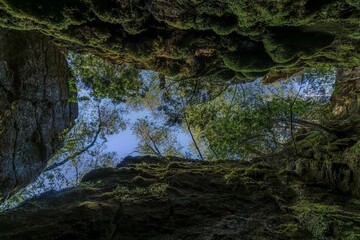 In the forest a cave, located in Nottawasaga Lookout Provincial Nature Reserve in Ontario, Canada