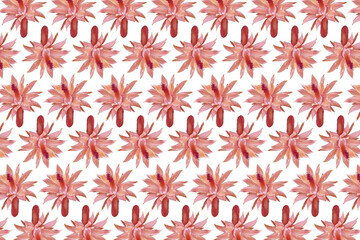 Composição de padrão com flor de cacto rabo de macaco cor-de-rosa, png com fundo transparente.