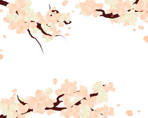 cute sakura flower branch, blank card with cherry blossom tree background.