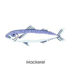 Mackerel Edible Salt Water Fish Element