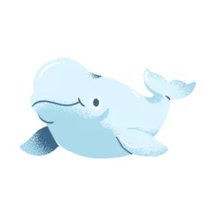 Store enrouleur Baleine Beluga Whale Cartoon Ocean Mammals Flat Illustration