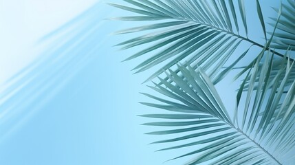 palm tree leaves background 