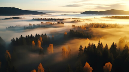 Obraz premium Forest background, vibrant trees