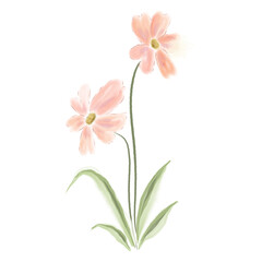 Loose watercolor pink flowers and leaves illustration
