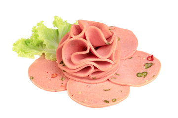 bologna sliced isolated