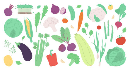 Set of fresh vegetables and herbs isolated on white. Modern vector illustration in a hand drawn style.