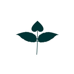 vector leaf in green color with stem green