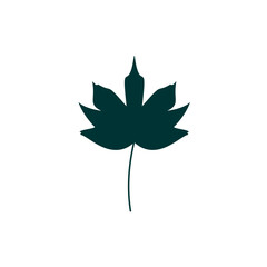 vector leaf in green color with stem green