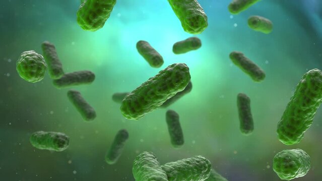 Bacteria colony inside human gut. Closeup on bacteria cells infecting the body.