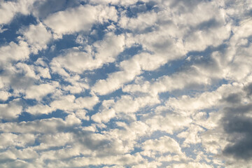 cirrocumulus clouds in the morning
