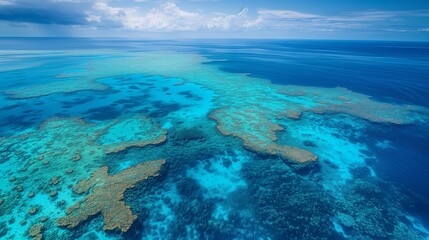 Fototapeta premium The sheer size of the Great Barrier Reef, showcasing its ecological significance.