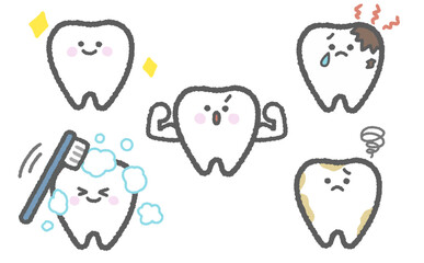 色々な歯のセット