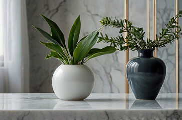 Vase and plants isolated on white marble table and white marble backgrounds with copy space, apartment or kitchen interior design