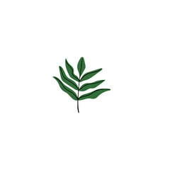 vector colored leaf elements leaf