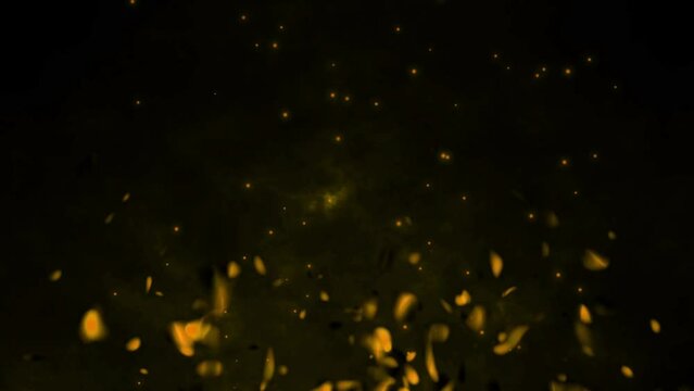 Realistic fire gas with hot fiery embers sparks flames 3D animation particle glow burning on black background vfx yellow