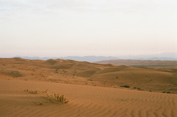 Fototapeta na wymiar Wahiba Sands desert in Oman.