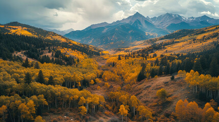 Colorful foliage covering the majestic mountain slopes in autumn