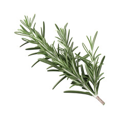 Fototapeta premium Rosemary PNG Cutout, Generative AI