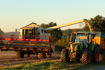 Combine harvester loading rapeseed onto a tractor at sunset.