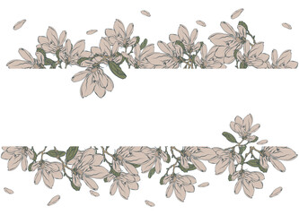A decorative border of magnolia flowers and branches is highlighted on the background. A pattern of leaves. Vector illustration. For nature, eco and design. Hand-drawn plants, a frame for a postcard. - obrazy, fototapety, plakaty