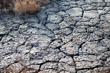 Ground cracked and dry grass due to drought
