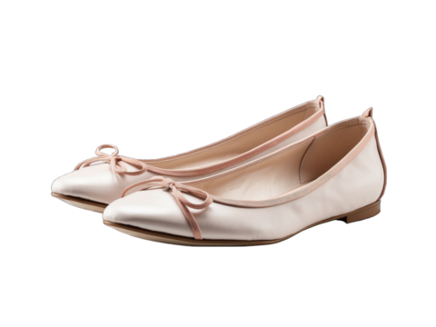 Ballet flats png / transparent