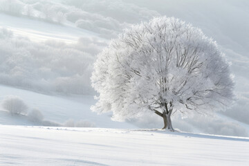 Fototapeta na wymiar A lone tree cloaked in ice against a pristine snowy backdrop