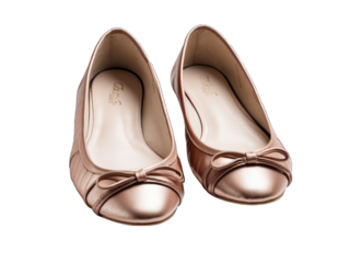 Ballet flats png / transparent