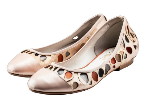 Ballet flats png / transparent