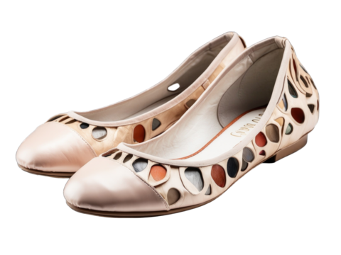 Ballet flats png / transparent