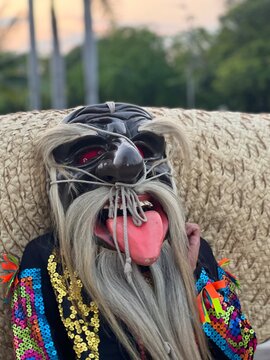 Danza de Tecuanes 
