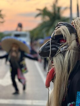 Danza de tecuanes