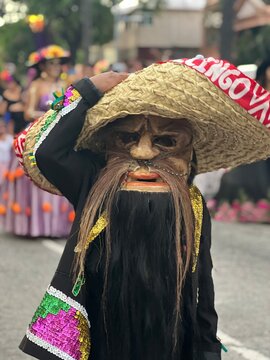 Danza de tecuanes