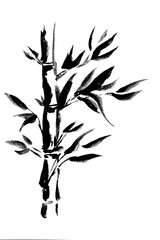 Abstract bamboo stems and leaves white background. Watercolor hand drawing botanical illustration with copy space for art design or add text.