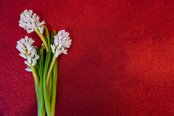 International Women's Day March 8! Flat Lay, banner, greeting card with flowers from March 8.