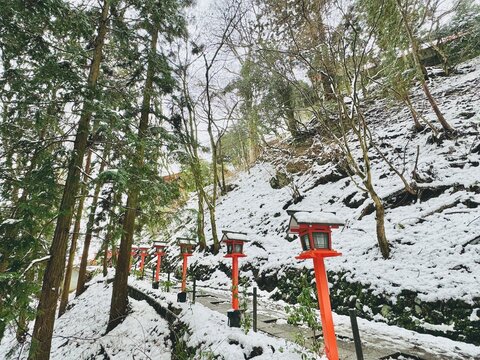 The hiking trail with the red lantern box in the snowy forest to the Kuramadera Temple at Kyoto, Japan on a winter day 