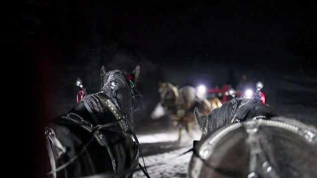Carriages With Horses on Cold Winter Night, Slow Motion