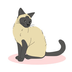 Balinese Cat Breed Flat Illustration
