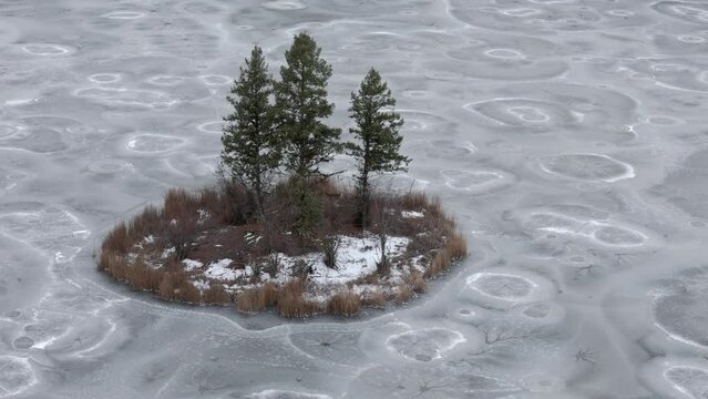 Kamloops Winter Magic: Island Stands Alone in Frozen McQueen Lake